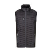 Navy/Seal Grey