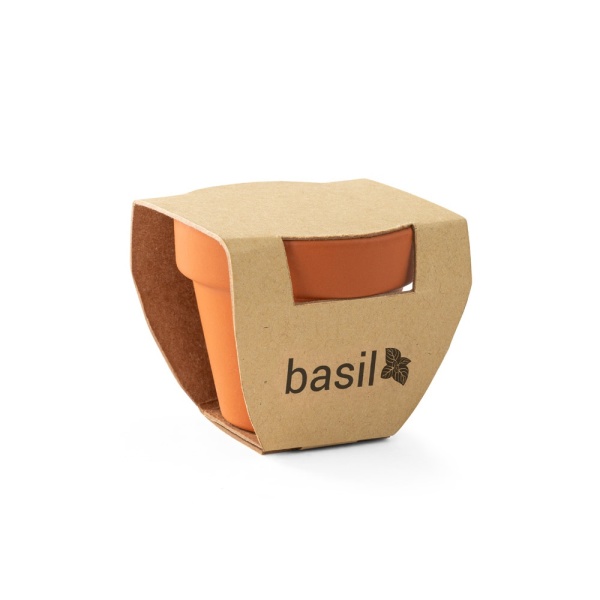 BASILI. Clay pot with basil