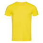 Stedman T-shirt Crewneck Ben SS 101c daisy yellow L