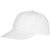 Ares 6 panel cap