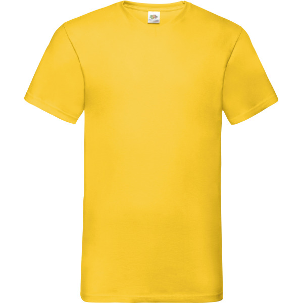Men's Valueweight V-neck T-shirt (61-066-0)