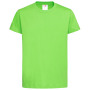 Stedman T-shirt Crewneck Classic-T Organic kids 368c kiwi L