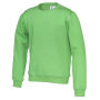 Cottover Gots Crew Neck Kid green 160