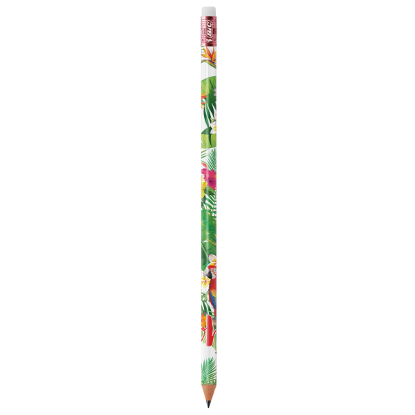 BIC® Evolution® Ecolutions® Eraser pencil