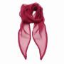 'Colours' Chiffon Scarf, Hot Pink, ONE, Premier