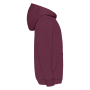 Kids Classic Hooded Sweat (62-043-0) Burgundy 14-15 jaar