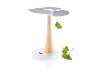 Ginkgo solar boom 4.000 mAh Ginkgo solar boom 4.000 mAh