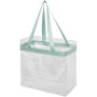 Hampton transparent tote bag 13L - Mint/Transparent clear