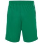 Basic Team Shorts - green/white - S