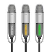 LogoCharge MFI - silver LogoCharge MFI - silver