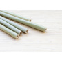 4 bamboo rietjes met een schoonmaak borsteltje in een giftbox