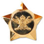 Star Pin Badges