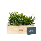 Gegraveerd logo + eigen kaartje