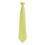 'Colours' Fashion Clip Tie, Lime Green, ONE, Premier
