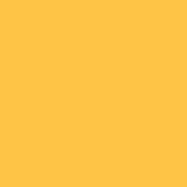 Safran Timeless / Women Gold S