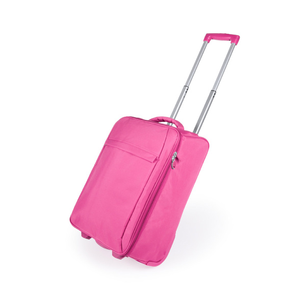 Opvouwbare Trolley Dunant