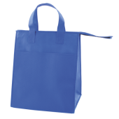 Grote strand- en koeltas non woven met rits 80 gr/m2 SALE