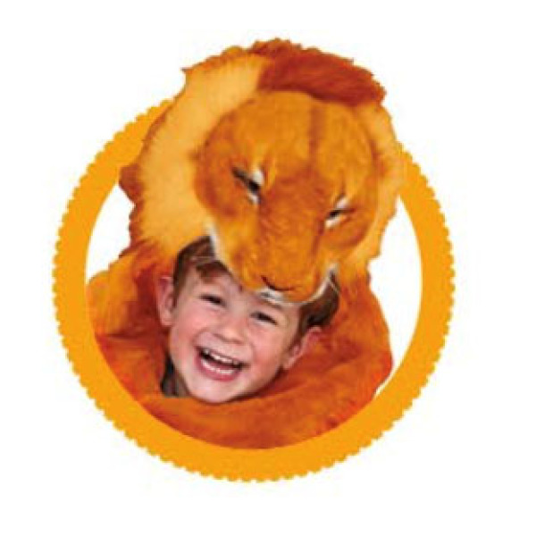 Oranje leeuw