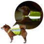Pet Safety Reflective Vest for Medium Size Dogs