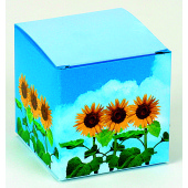 Cube Sunflower, mini-sunflower Cube Sunflower, mini-sunflower