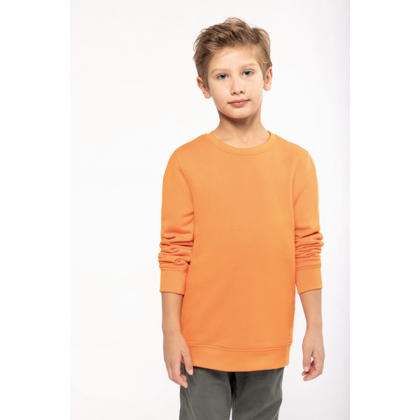 Ecologische kindersweater met ronde hals Sage 12/14 ans