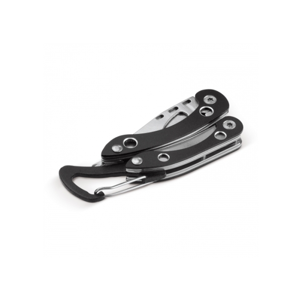 Multi-tool with carabiner