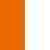Baseballpolo Orange / White 3XL