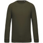 Herensweater BIO ronde hals raglanmouwen Mossy Green S