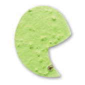Apostrofe Apostrofe