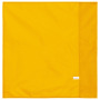 Flag Yellow One Size