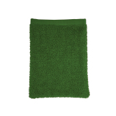 Washcloth - Green