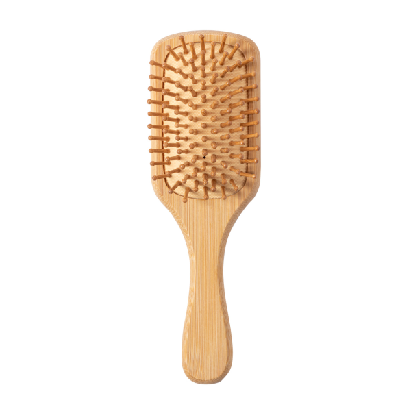 Aveiro - hairbrush