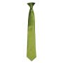 'Colours' Satin Clip Tie, Oasis Green, ONE, Premier