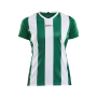 Progress stripe jersey wmn green/white s