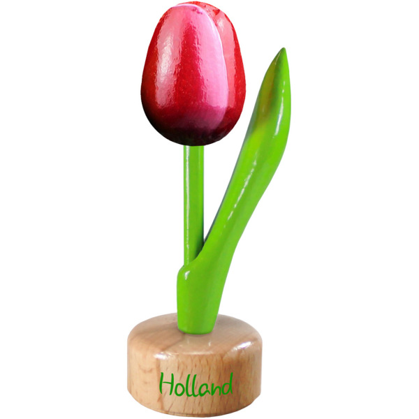 Kleine tulp op een voetstuk