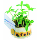 Mini Zontuin Met Magneet Mini Zontuin Met Magneet