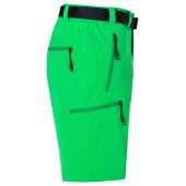 Men's Trekking Shorts - fern-green - 3XL