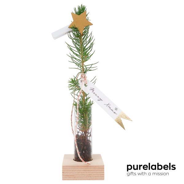 BLOEMPOST | Eindejaarsgeschenk | Twinkle Twinkle little star | Brievenbusgeschikt