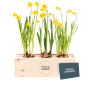 BloomsBox - Narcissen met logo en kaartje - Large