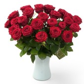 Bos rode rozen Bos rode rozen