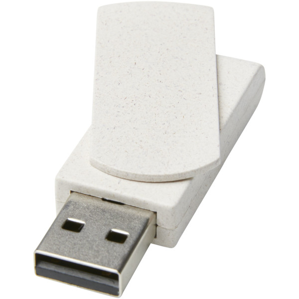 USB stick 4 GB van tarwestro