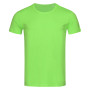 Stedman T-shirt Crewneck Ben SS 360c green flash L
