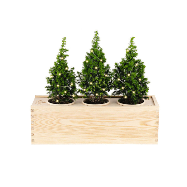 BB-Kerst