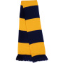 Team Scarf Navy / Gold One Size