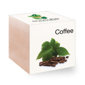 EcoCube EcoCube