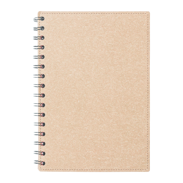 Idina - notebook