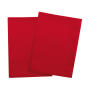 Unicoloured dish and cleaning cloth (10-pack) - Red - One Size