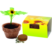 Coco Plantenpot Zon Coco Plantenpot Zon