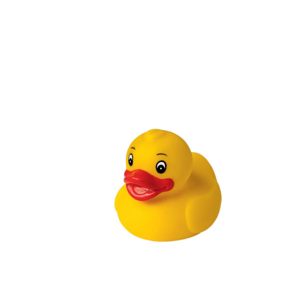 Squeaky duck classic