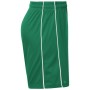 Basic Team Shorts Junior - green/white - XXL